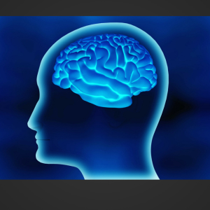 brain, brain bank, brain myths, stress, lightbulb, facts, brain cells, neuroplasticity, Einstein, 20 interesting facts about the brain
